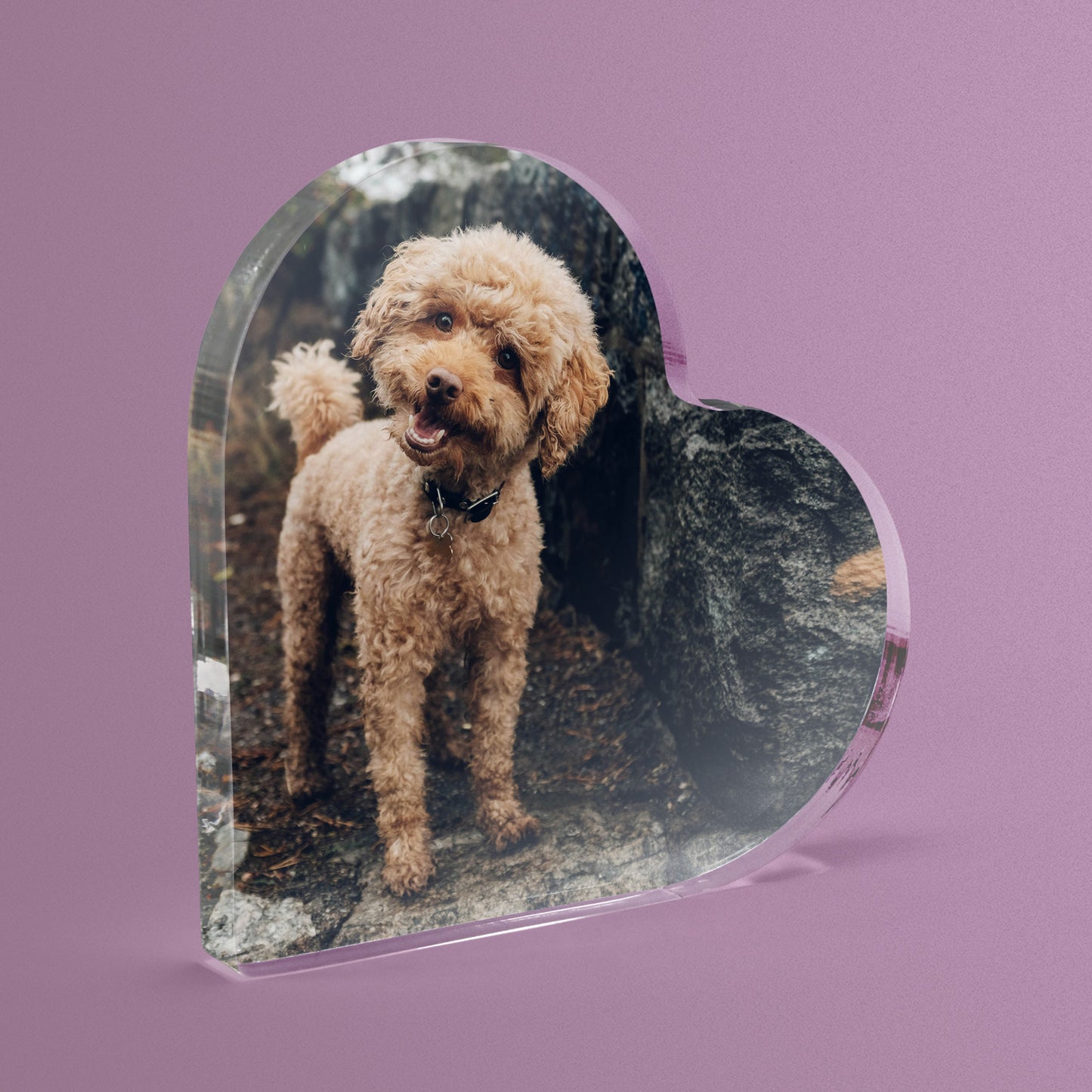 Heart-shaped photo plaque with a dog on a purple background.