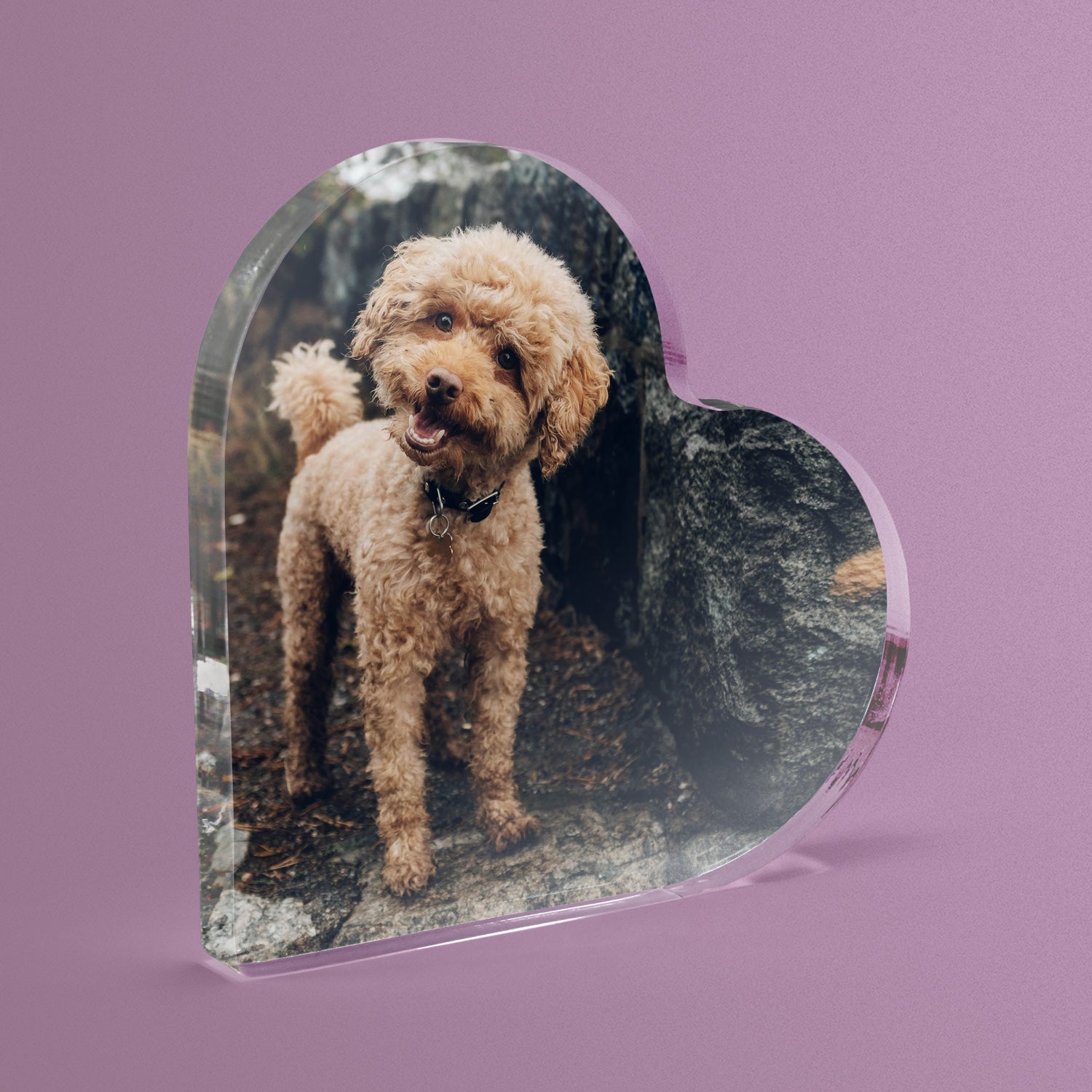 Heart-shaped photo plaque with a dog on a purple background.