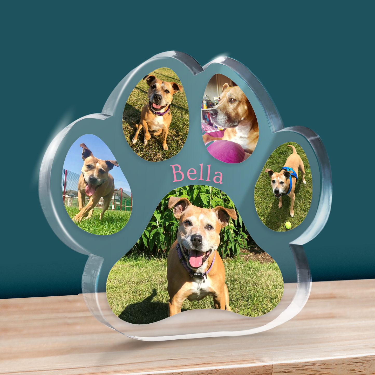 Paw-shaped Freestanding Block with multiple photos of a dog named Bella on a wooden surface.