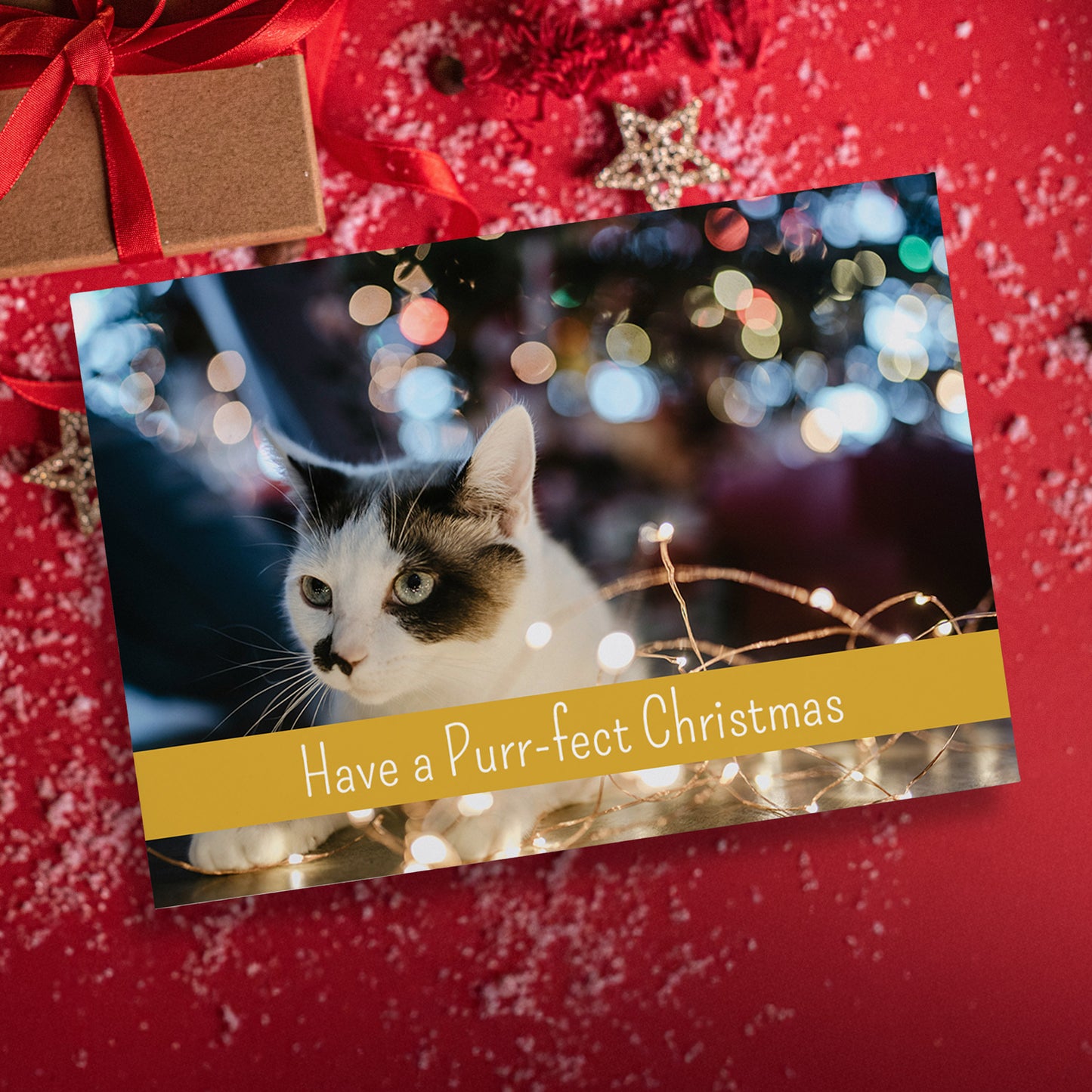 Upload Your Own Image with Text Band Postcard - Engagement - A6