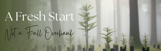 A Fresh Start, Not a Full Overhaul