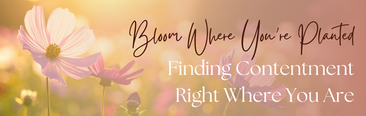 Bloom Where You’re Planted: Finding Contentment Right Where You Are
