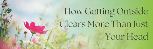 Fresh Air, Fresh Perspective