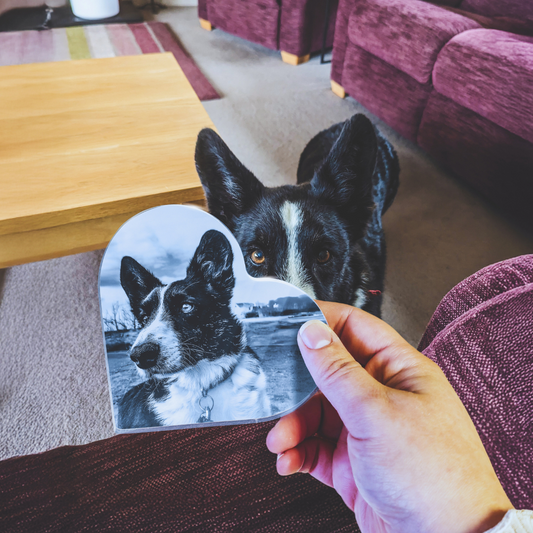 Personalised Full Pet Photo Freestanding Heart Block/Coaster - 100mm