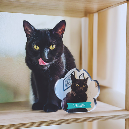 Personalised Photo Freestanding Paw Block - 100mm