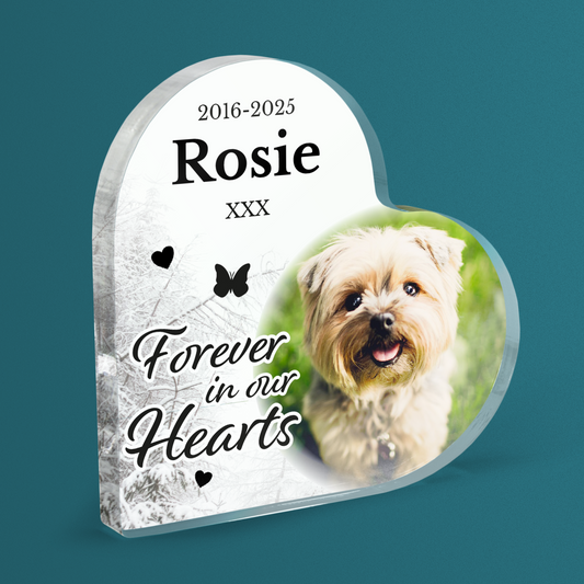Heart-shaped acrylic block with a dog's photo, and text Rosie, Forever in our Hearts on a dark teal background.