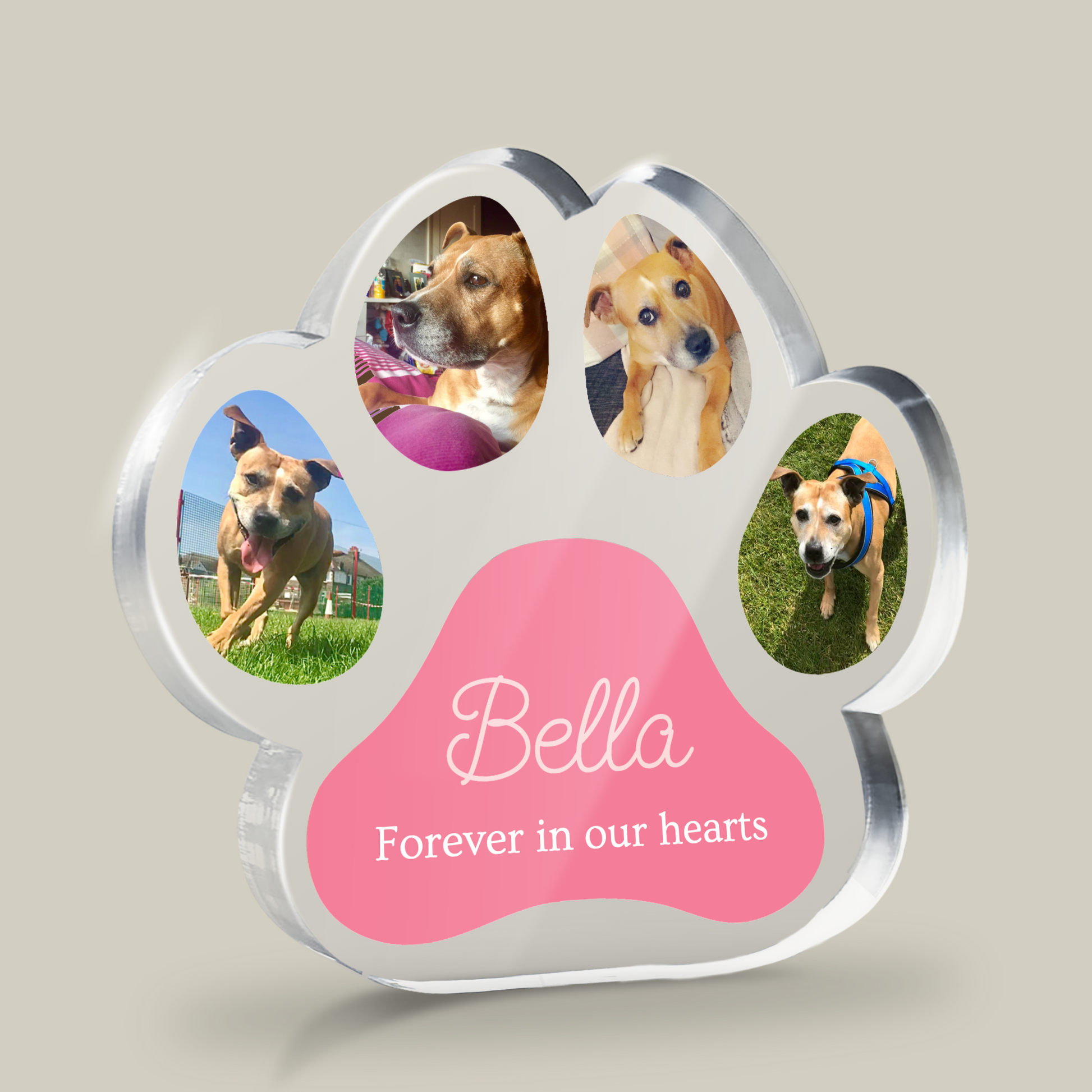 Paw-shaped photo Block with four dog photos and 'Bella Forever in our hearts' text on a light grey background