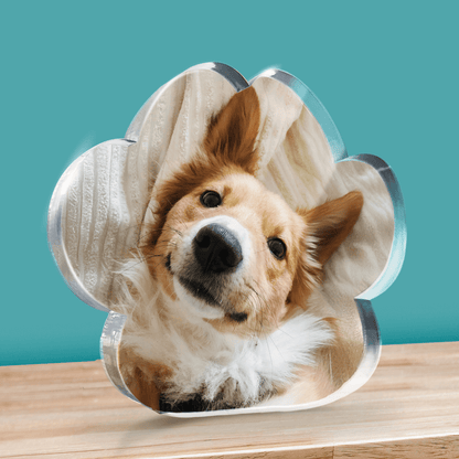 Dog's face in a decorative Paw Shaped Block on a wooden surface with a teal background
