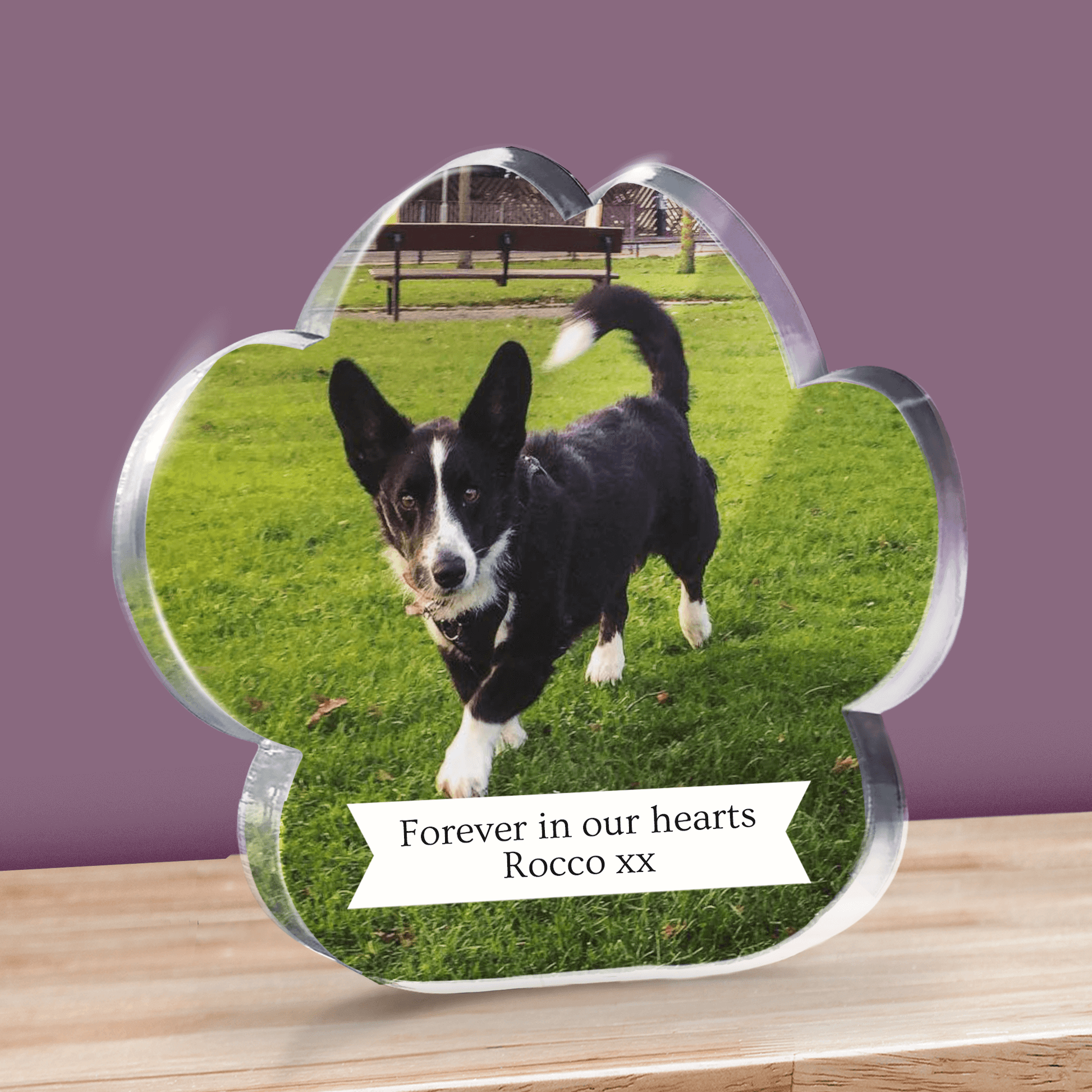 Paw shaped Block with a dog on grass and text 'Forever in our hearts Rocco xx' against a purple background.