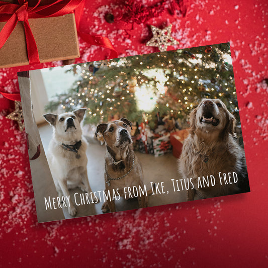 Upload Your Own Image Christmas Postcard - A6
