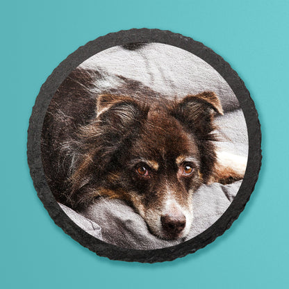Photo of dog digitally printed onto natural circle slate coaster on a teal background.